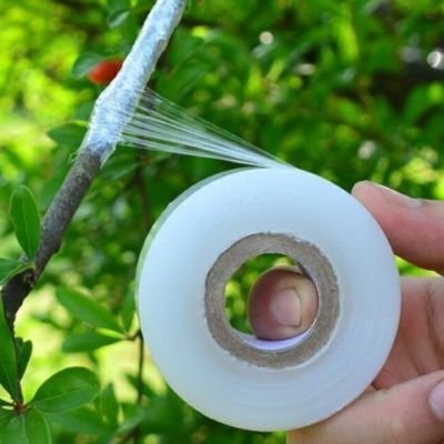 Mini bobinots – Image 3